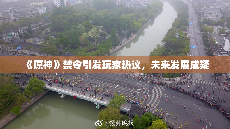 《原神》禁令引发玩家热议，未来发展成疑