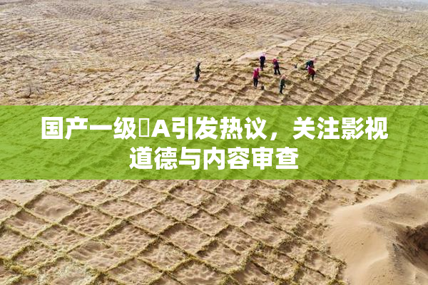 国产一级婬A引发热议，关注影视道德与内容审查