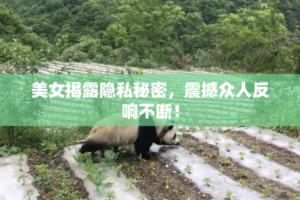 美女揭露隐私秘密，震撼众人反响不断！