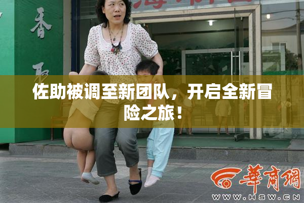 佐助被调至新团队，开启全新冒险之旅！