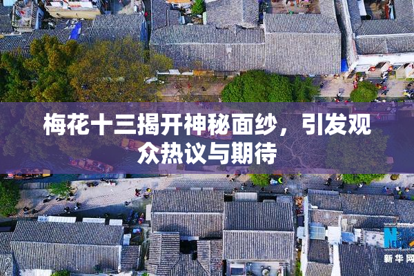 梅花十三揭开神秘面纱，引发观众热议与期待