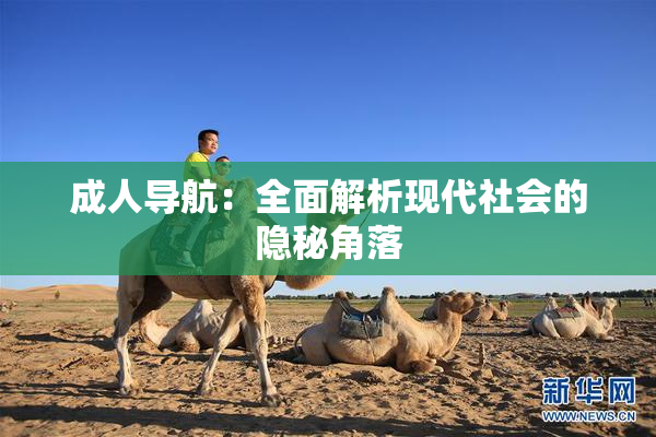 成人导航：全面解析现代社会的隐秘角落