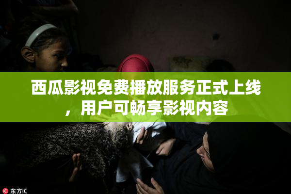西瓜影视免费播放服务正式上线，用户可畅享影视内容