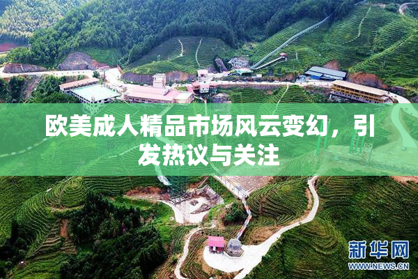 欧美成人精品市场风云变幻，引发热议与关注