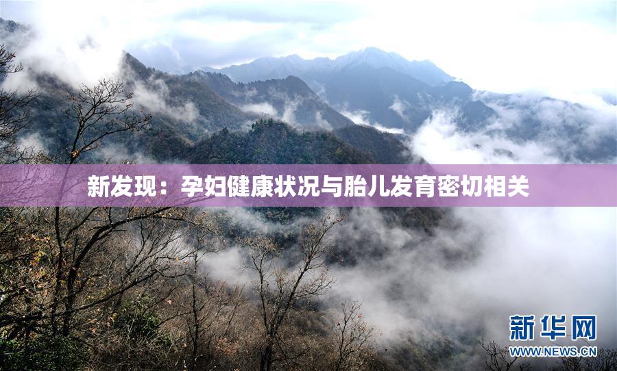 新发现：孕妇健康状况与胎儿发育密切相关