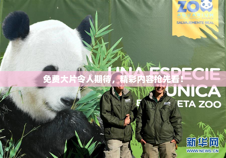 免费大片令人期待，精彩内容抢先看！