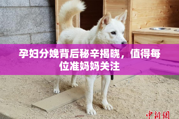 孕妇分娩背后秘辛揭晓，值得每位准妈妈关注