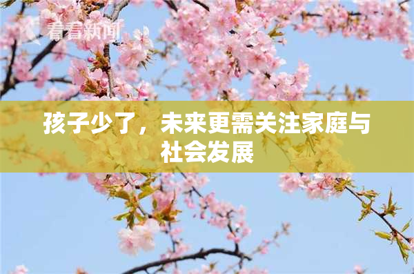 孩子少了，未来更需关注家庭与社会发展