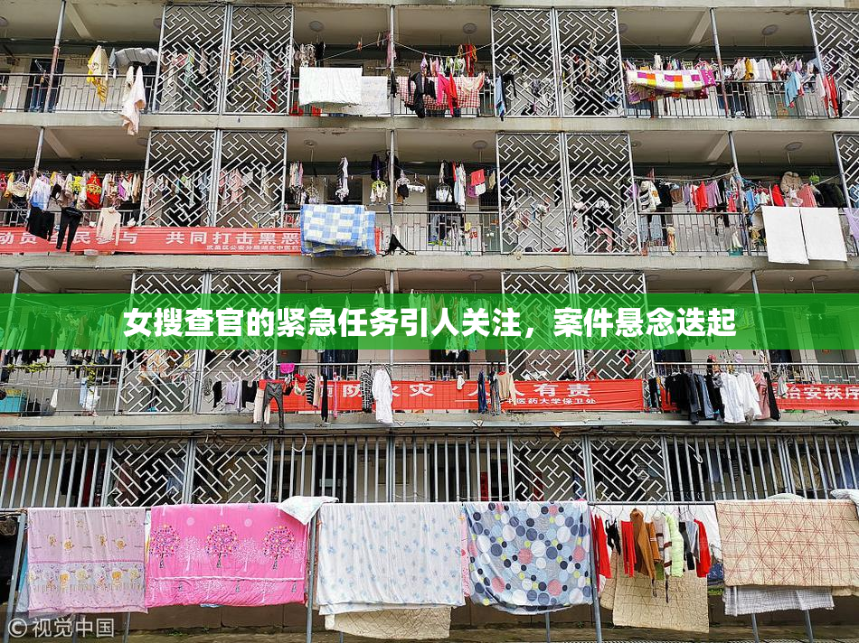 女搜查官的紧急任务引人关注，案件悬念迭起