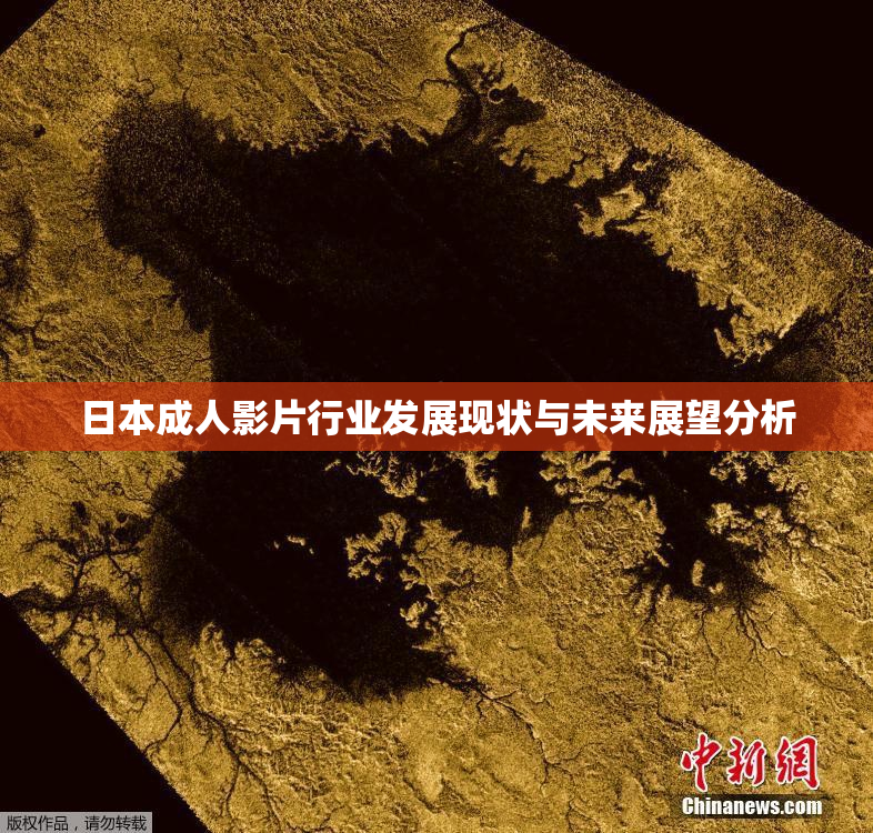 日本成人影片行业发展现状与未来展望分析