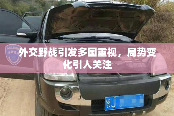 外交野战引发多国重视，局势变化引人关注