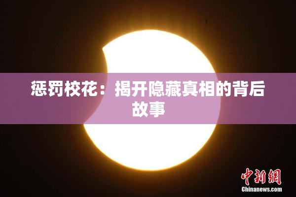惩罚校花：揭开隐藏真相的背后故事