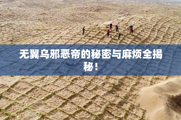 无翼乌邪恶帝的秘密与麻烦全揭秘！