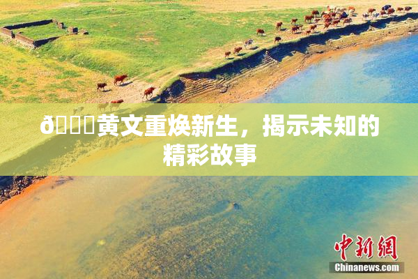 🔞黄文重焕新生，揭示未知的精彩故事