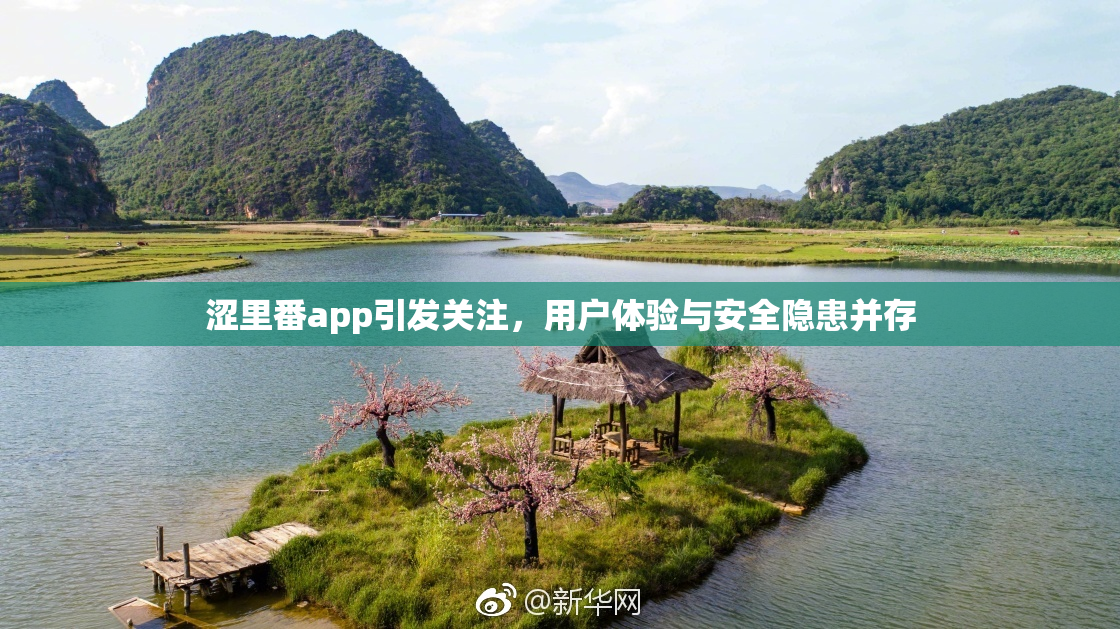 涩里番app引发关注，用户体验与安全隐患并存