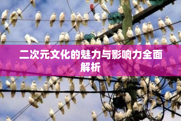 二次元文化的魅力与影响力全面解析