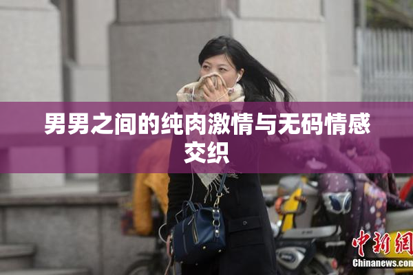男男之间的纯肉激情与无码情感交织