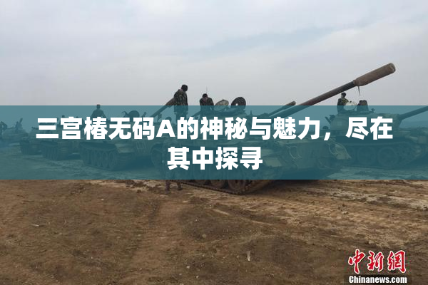三宫椿无码A的神秘与魅力，尽在其中探寻