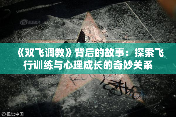 《双飞调教》背后的故事：探索飞行训练与心理成长的奇妙关系