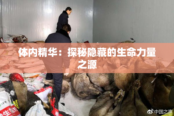 体内精华：探秘隐藏的生命力量之源