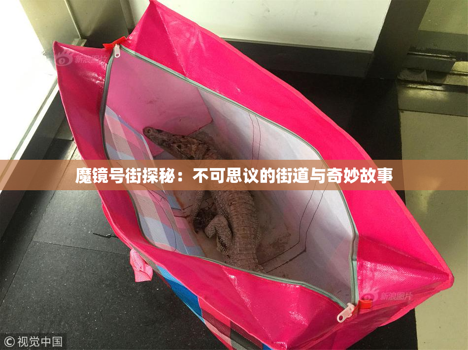 魔镜号街探秘：不可思议的街道与奇妙故事