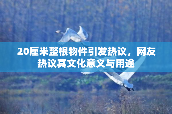 20厘米整根物件引发热议，网友热议其文化意义与用途