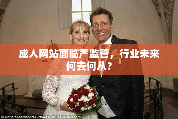 成人网站面临严监管，行业未来何去何从？