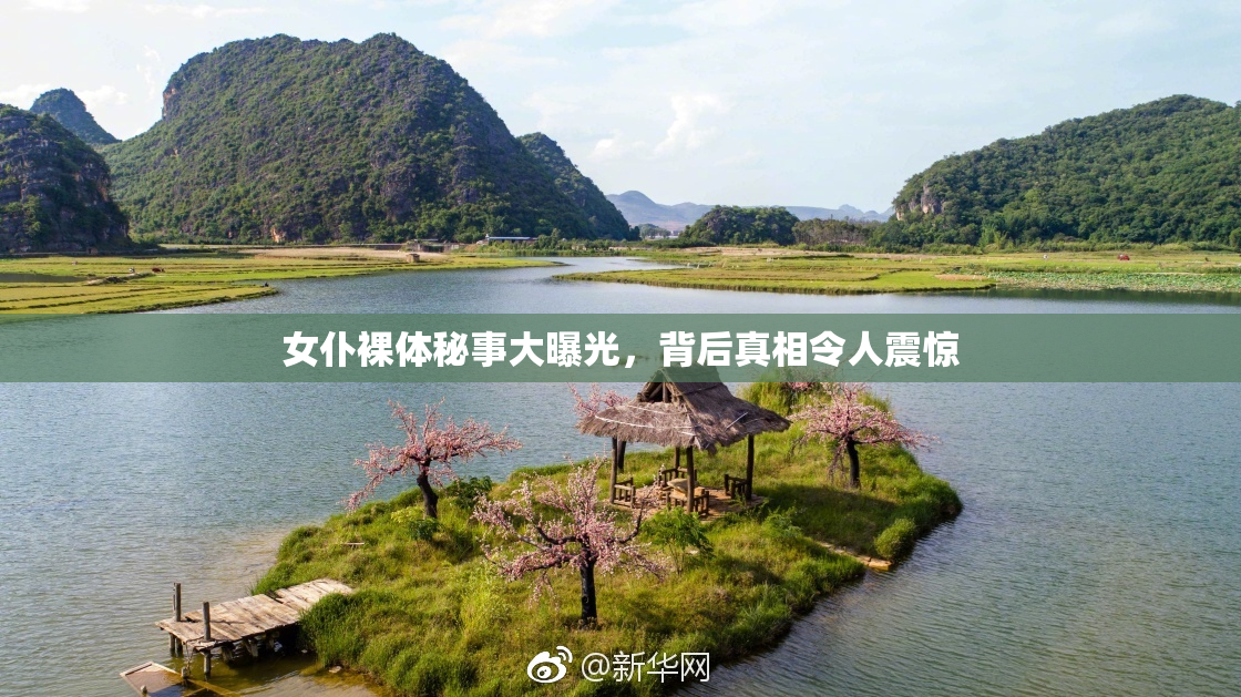 女仆裸体秘事大曝光，背后真相令人震惊