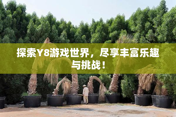 探索Y8游戏世界，尽享丰富乐趣与挑战！
