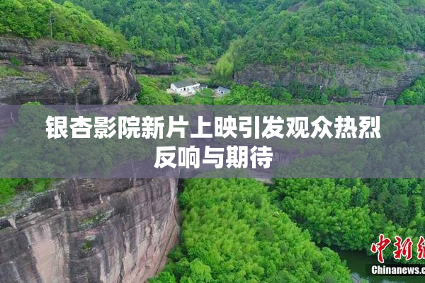 银杏影院新片上映引发观众热烈反响与期待