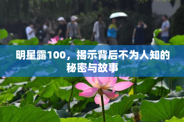 明星露100，揭示背后不为人知的秘密与故事