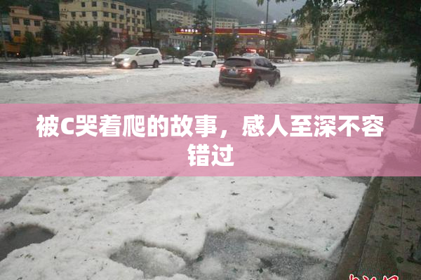 被C哭着爬的故事，感人至深不容错过