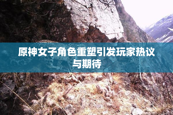 原神女子角色重塑引发玩家热议与期待