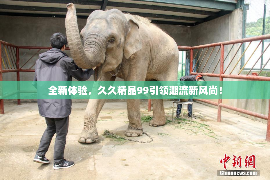 全新体验，久久精品99引领潮流新风尚！