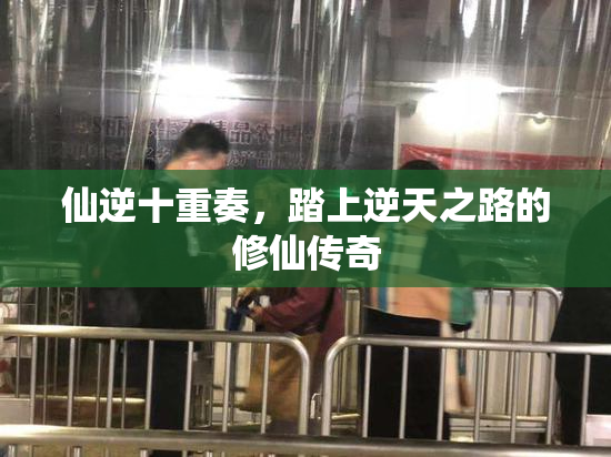 仙逆十重奏，踏上逆天之路的修仙传奇