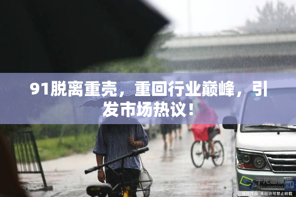 91脱离重壳，重回行业巅峰，引发市场热议！