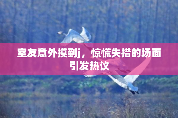 室友意外摸到j，惊慌失措的场面引发热议