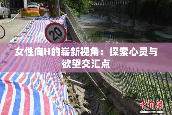 女性向H的崭新视角：探索心灵与欲望交汇点
