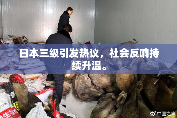 日本三级引发热议，社会反响持续升温。