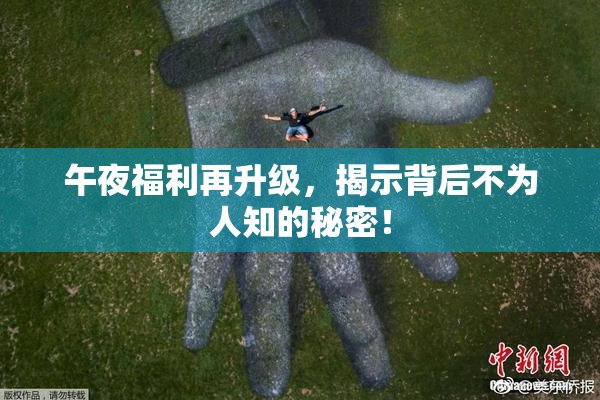午夜福利再升级，揭示背后不为人知的秘密！