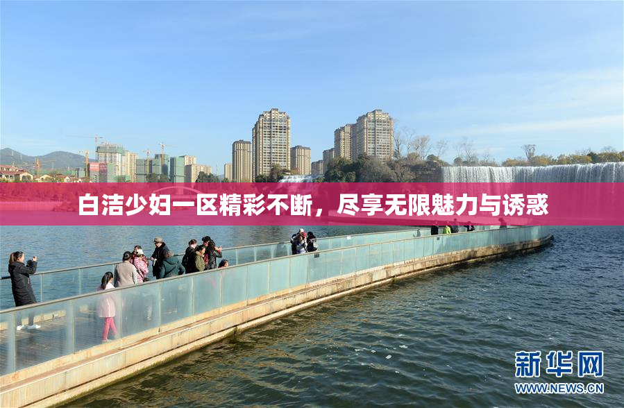 白洁少妇一区精彩不断，尽享无限魅力与诱惑