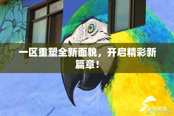 一区重塑全新面貌，开启精彩新篇章！