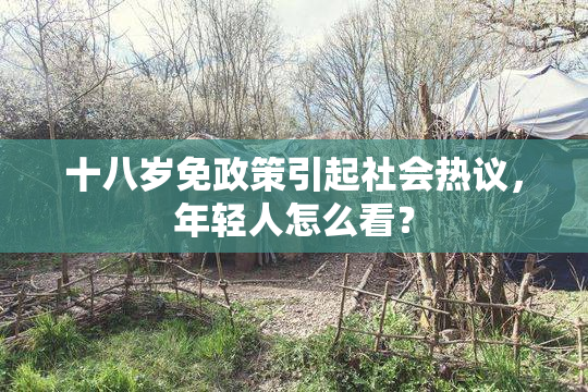 十八岁免政策引起社会热议，年轻人怎么看？