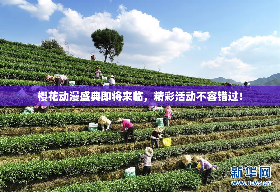 樱花动漫盛典即将来临，精彩活动不容错过！