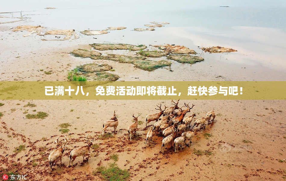已满十八，免费活动即将截止，赶快参与吧！