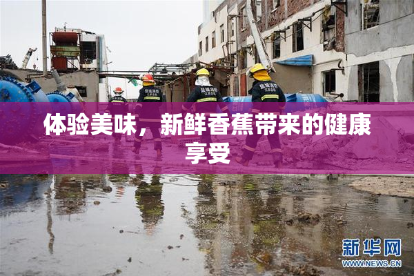 体验美味，新鲜香蕉带来的健康享受