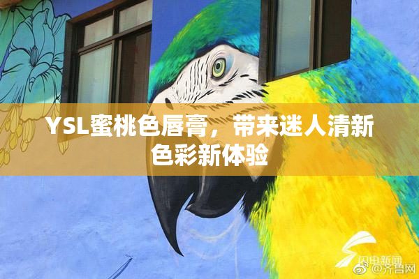 YSL蜜桃色唇膏，带来迷人清新色彩新体验