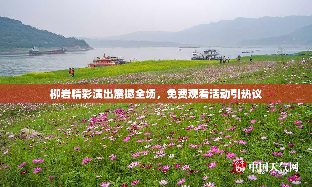 柳岩精彩演出震撼全场，免费观看活动引热议