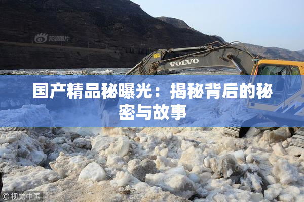 国产精品秘曝光：揭秘背后的秘密与故事