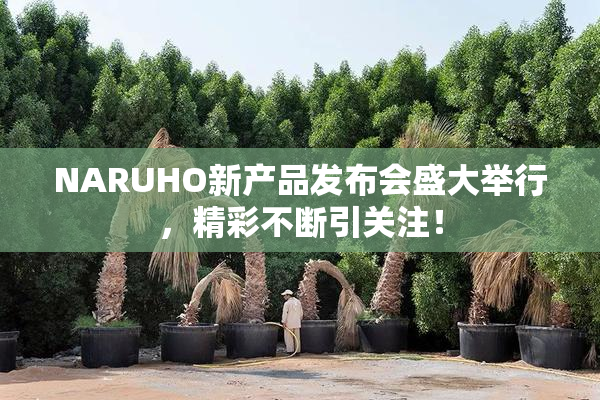 NARUHO新产品发布会盛大举行，精彩不断引关注！